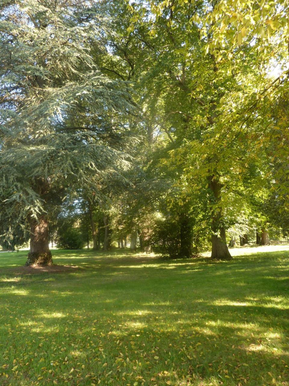 Saint-Hilaire-en-Morvan Domaine De Chalignyホステル エクステリア 写真